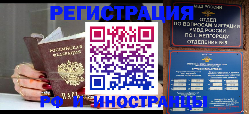 прописка в Каргополе